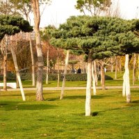 Чудны твои творения! :: Юрий Полторыхин.