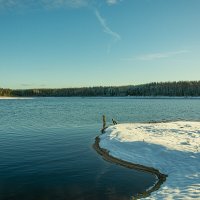 Озеро Съезжее, Хвойнинский муниципальный округ :: Александр Филатов