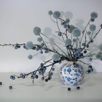 Натюрморт с тёрном и мордовником :: Olenka 