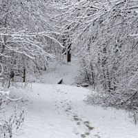 В городском парке после снегопада. :: Милешкин Владимир Алексеевич 