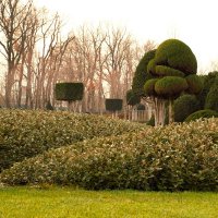 Однажды в парке. :: Юрий Полторыхин.