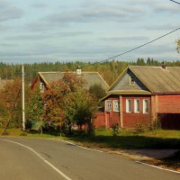 Осенний день в деревне :: Сергей Кочнев