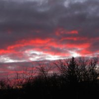 Утро ноября :: Людмила Смородинская