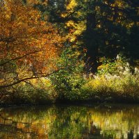 Утро на озере :: Юрий. Шмаков