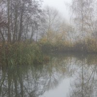 *** :: Владимир Безбородов