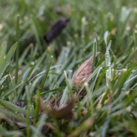 Осень :: Тамара Федорова