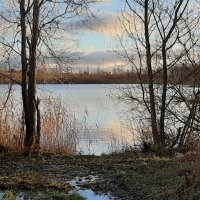 Ноябрь :: Наталья Герасимова