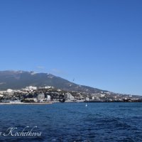 Природа Крыма :: Amazing Cosmea