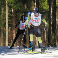 Динамика лыжных гонок. :: Евгений Седов Динамика лыжных гонок. :: Евгений Седов