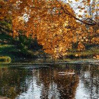 осеннее настроение.... :: Владимир Матва