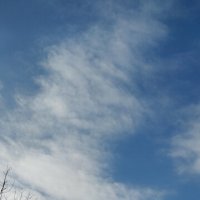 Градирни :: Радмир Арсеньев