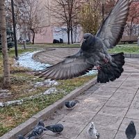 Площадь Красные ворота. :: Лютый Дровосек