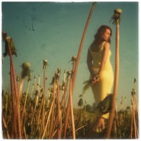 Портрет :: Виктория Поликарпова