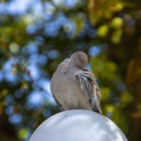 Банные процедуры :: Максим 