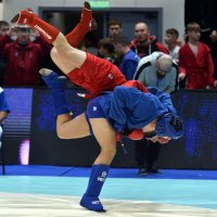 В броске! :: Александр Гриднев