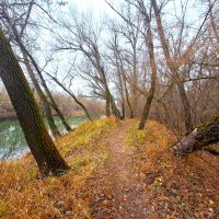 Ноябрьский пейзаж :: Наталья 