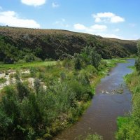 Река Брид в Национальном парке Бонтебок, Южная Африка. :: unix (Илья Утропов)