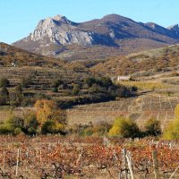 Горный пейзаж :: Татьяна Тюменка Горный пейзаж :: Татьяна Тюменка