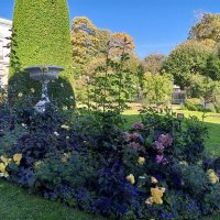 Осенние цветы :: Сапсан 