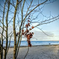 Набережная Финского залива :: Veera V Набережная Финского залива :: Veera V