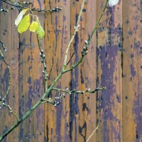 Тёплый ноябрь :: Валерий Иванович