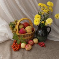 *** :: Любовь Сахарова