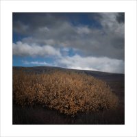 * :: Александр Иванов