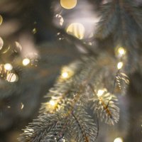 НГ :: Тамара Федорова