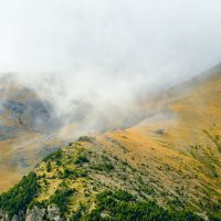 Туман спускается :: Георгий А Туман спускается :: Георгий А