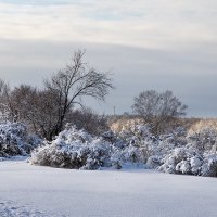 зима в сибирь пришла :: Виктор Ковчин