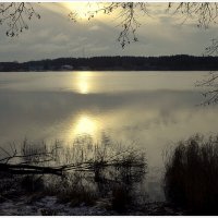 *** :: Aleksandr Gal