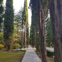 Русь :: Tata Wolf