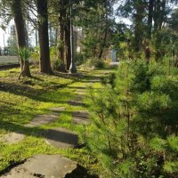 Русь :: Tata Wolf