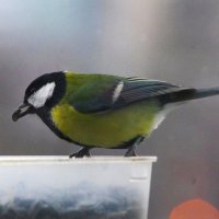 ... :: Юрий Куликов