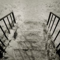 Фотография :: Денис Безногов