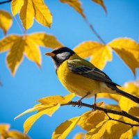 На осеннем солнышке... :: Freddy 97