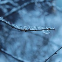 ❄️ :: Наталья