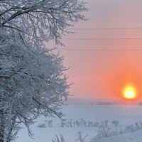 Рассвет :: Ольга Савельева 