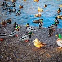 Самара. Последние дни осени, 27 ноября :: Надежда 