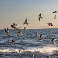 ,,, :: Сергей Яковлев