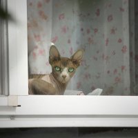 Дневной дозор. :: Татьяна Бравая