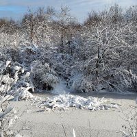 Прекрасный день!!! :: Радмир Арсеньев