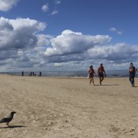 Б.Н :: Николай 