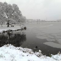 В ноябре у реки :: Мария Васильева
