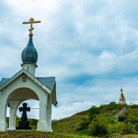 Холки :: Александр Леонов