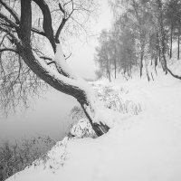 Нежная зима... :: Владимир Носов