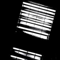 * :: Василий Палий