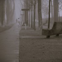 Уходящая в туман. :: Юрий Полторыхин.