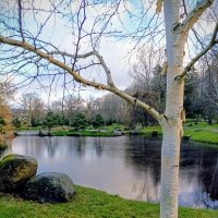 В Японском саду :: Veera V