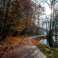 ----------------------- :: igor G.